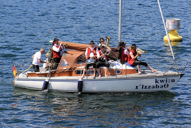 在这场公牛 在这场公牛