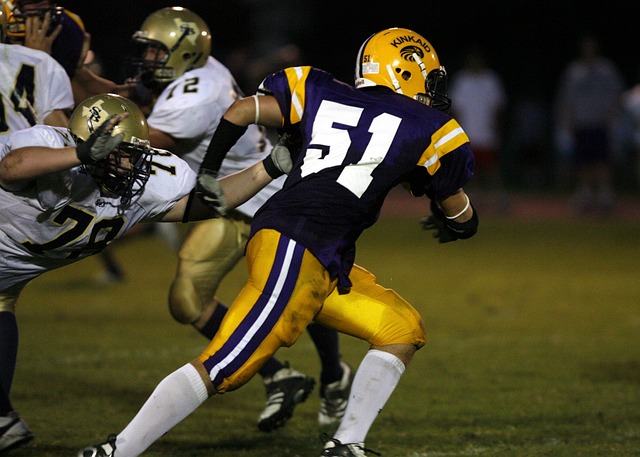 训练方案 训练方案