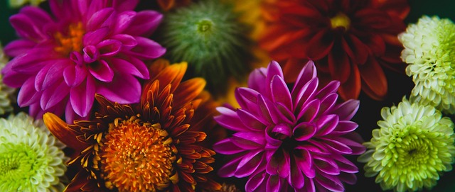 均未取得理 均未取得理