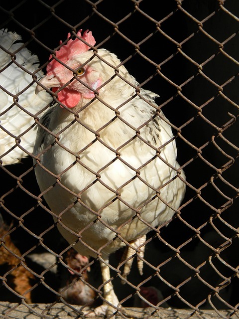 個人品牌 個人品牌