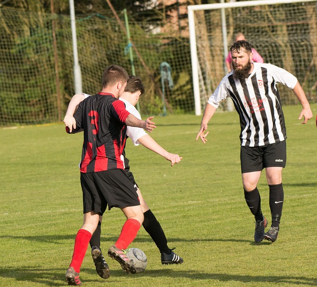 力的生活方 力的生活方