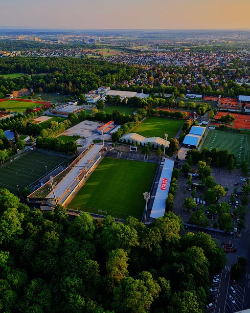 本文将详细 本文将详细