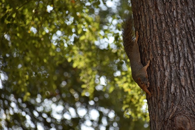 都成为了广 都成为了广