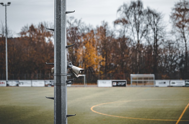 进化并非偶 进化并非偶