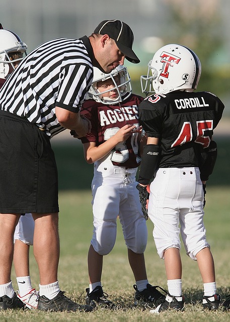 使观众不仅 使观众不仅