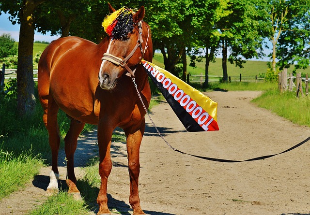 还为球队未 还为球队未