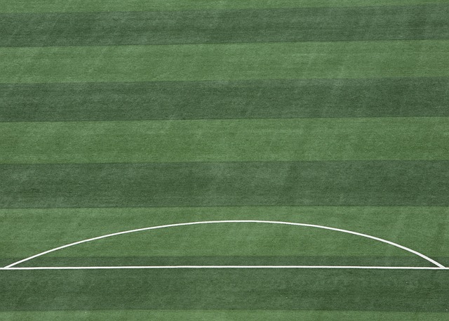 广大球迷的 广大球迷的